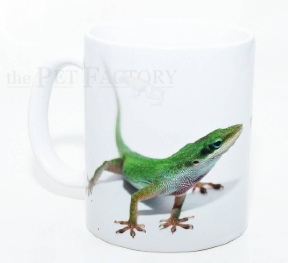 Kaffeebecher "Anolis carolinensis"